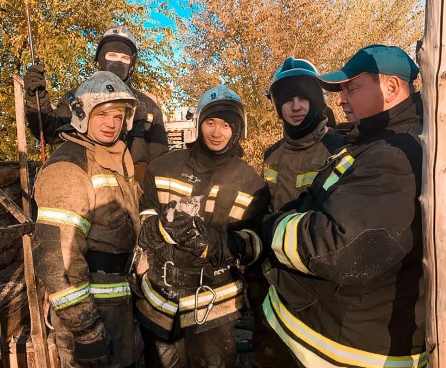 Чудесное спасение, или Как пожарные котят из огня вынесли