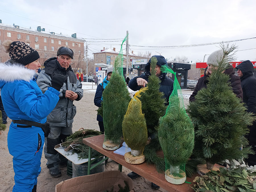 Прямиком из Красноярска