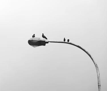 Улицы погасших фонарей