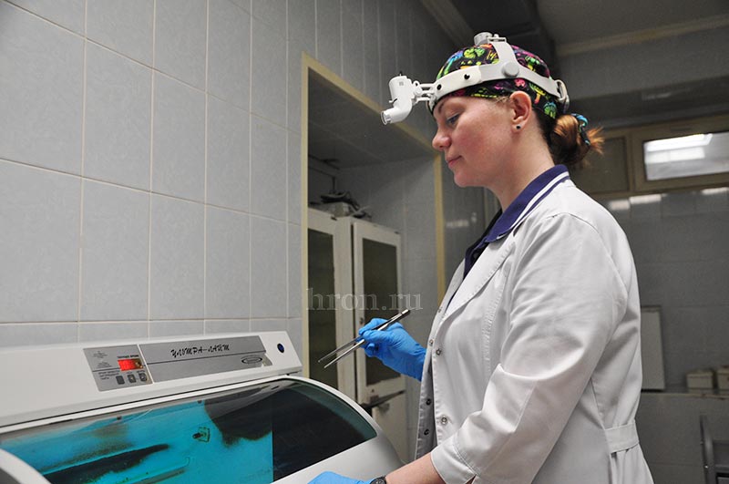 Ювелир в белом халате. О том, как доктор Смирнова удаляла пулю из головы