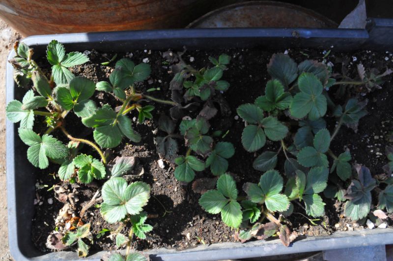 Тянет к земле?  Приходи!