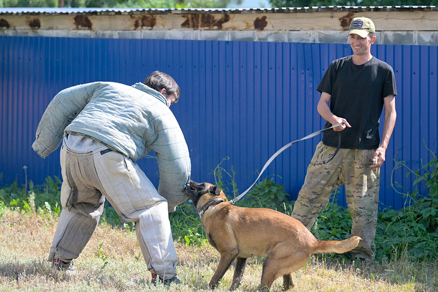 Победа в четырех лапах. Проект, посвященный кинологической службе Орска, стал лучшим