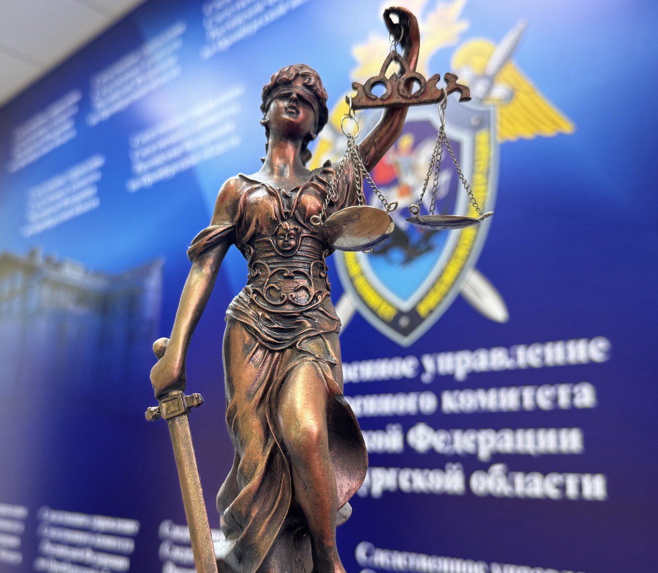 Дочь получила 9 лет колонии за убийство матери