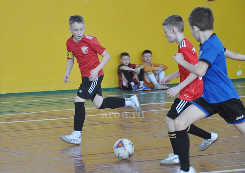 Все дело в генах. Владимир Куватов о том, как становятся чемпионами