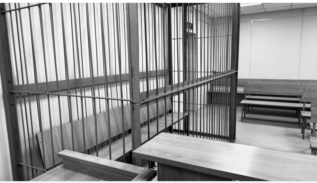 Полгода колонии за долги по алиментам