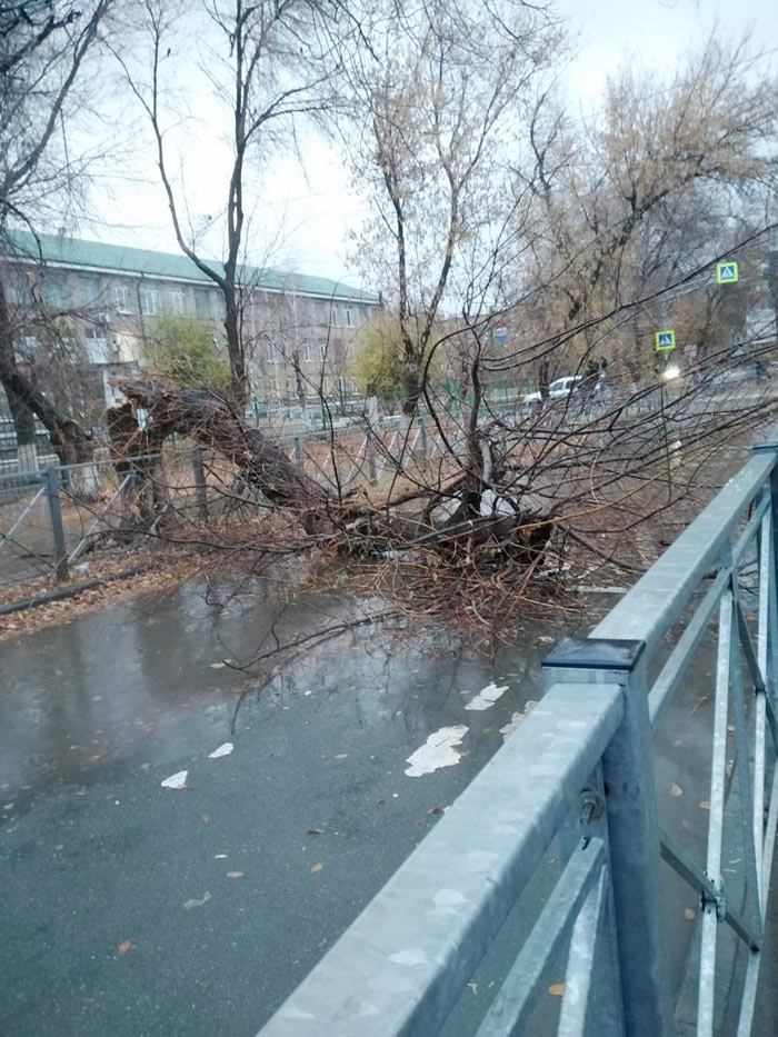 Пало жертвой непогоды