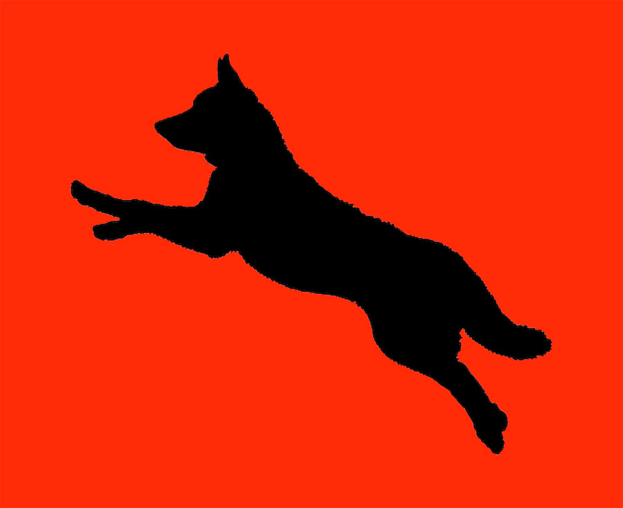 Не особо опасен