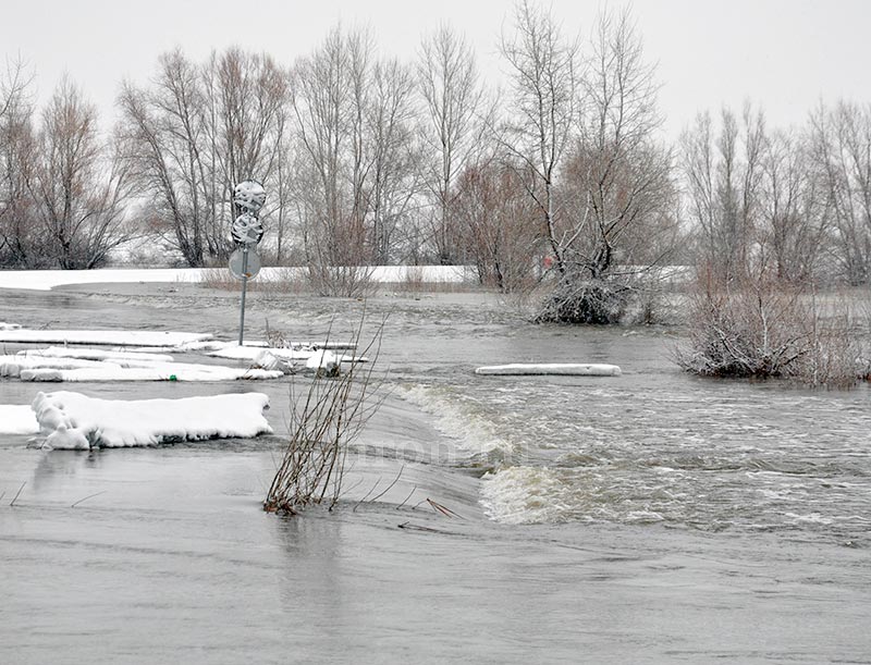 Еще конь не валялся