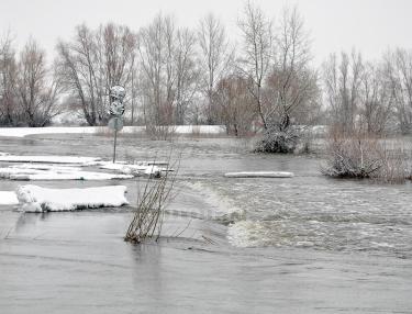 Еще конь не валялся