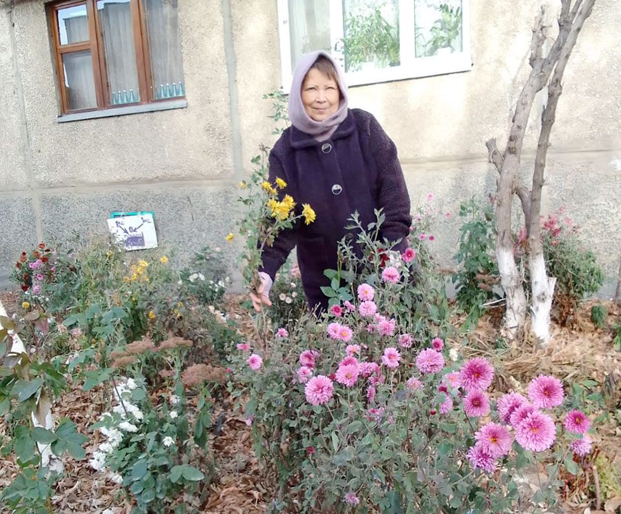 Цветы вместо снега