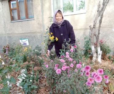 Цветы вместо снега