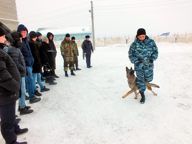 Полицейские собаки покорили «Студенческий десант»