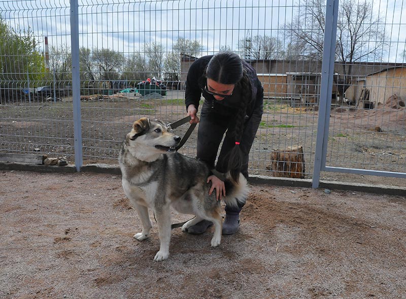 «Они нравятся мне, а я – им». Ольга Демина о работе в Центре «Джульбарс»