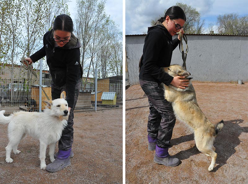«Они нравятся мне, а я – им». Ольга Демина о работе в Центре «Джульбарс»