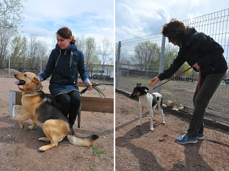 «Они нравятся мне, а я – им». Ольга Демина о работе в Центре «Джульбарс»