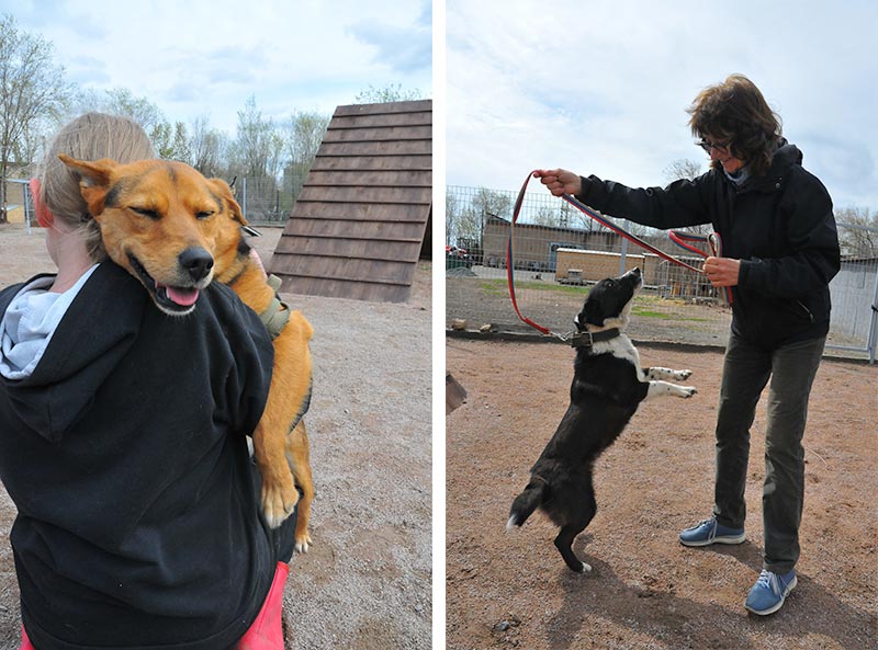 «Они нравятся мне, а я – им». Ольга Демина о работе в Центре «Джульбарс»