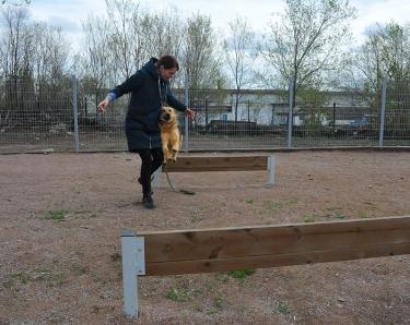 «Они нравятся мне, а я – им». Ольга Демина о работе в Центре «Джульбарс»