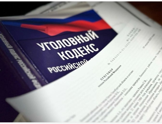 Орчанка отправится в колонию за долг в 4 миллиона рублей по алиментам