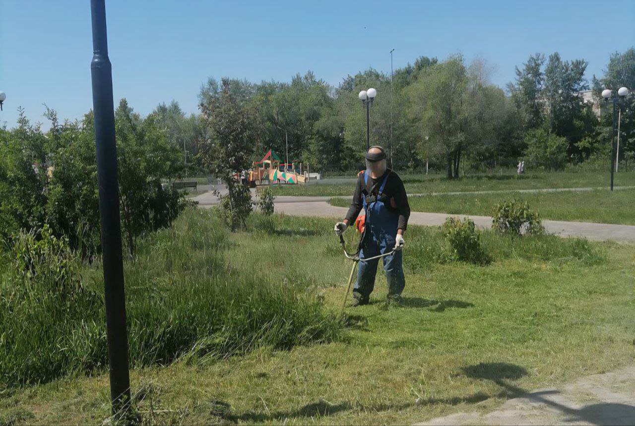 Парк «Пищевик» избавляют от сорняков