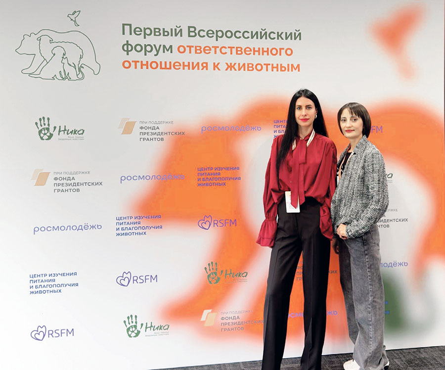 Капля в море. Татьяна Брындина о том, как в других городах решают проблему с животными