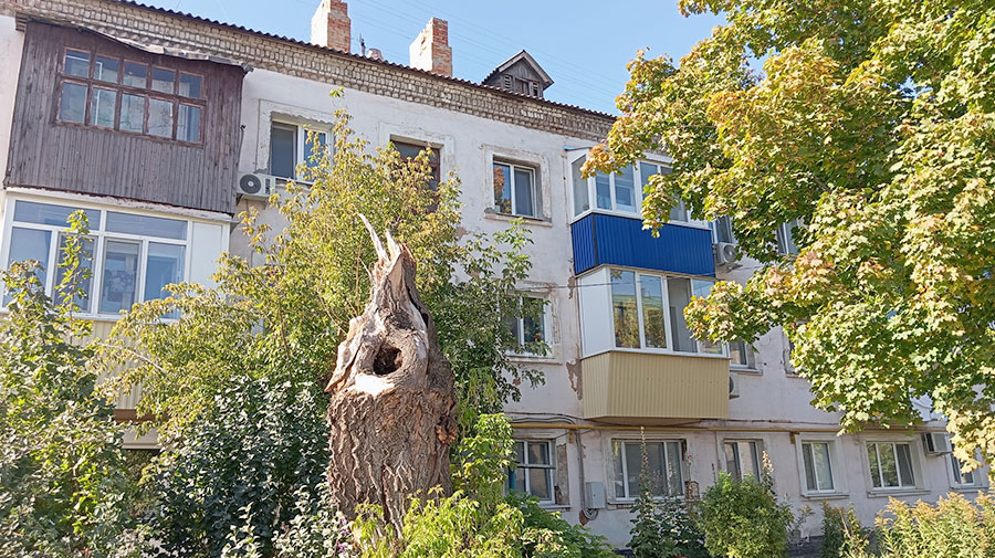 Дом, который построил… дядя Толя