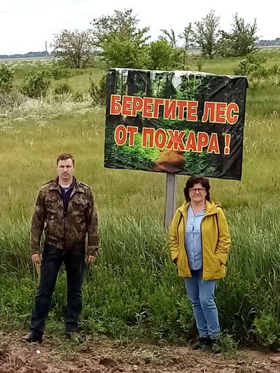 Откуда дровишки? О том, что можно и нельзя делать в лесу