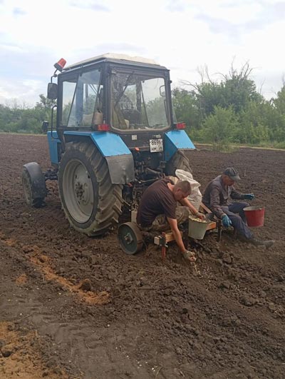 Откуда дровишки? О том, что можно и нельзя делать в лесу