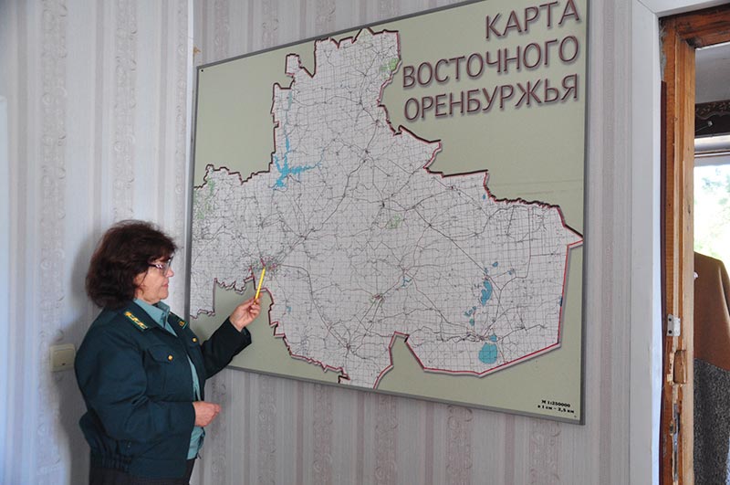 Не заблудилась в трех соснах. Как Елена Фирсова деревья выращивала