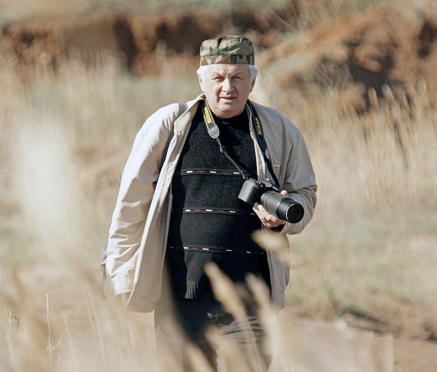 Вот летит птичка