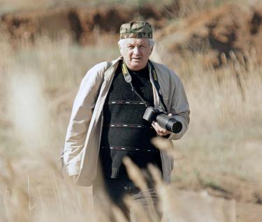 Вот летит птичка