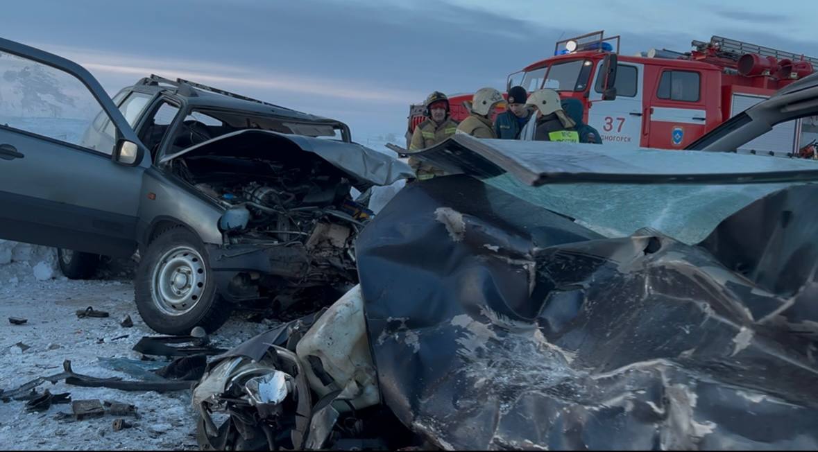 Два человека погибли, трое в больнице после лобового столкновения на трассе М-5