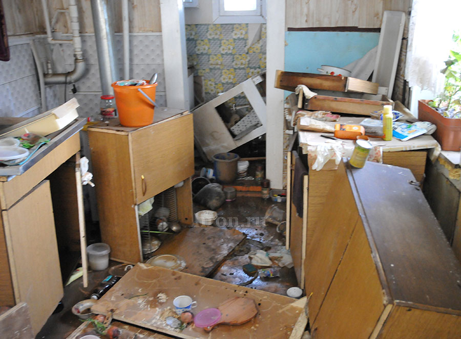 Одиннадцать томов паводка