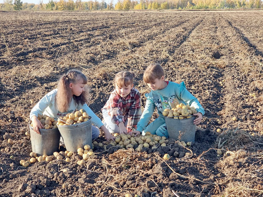 Фотоконкурс «Дары природы» | Три сестры – трудовой десант